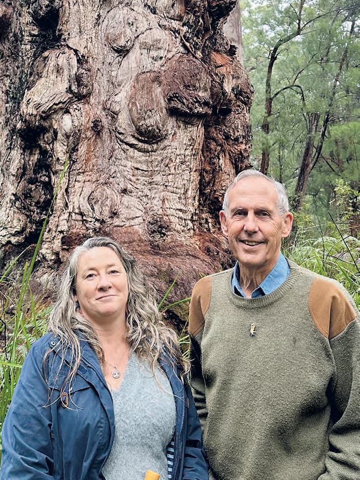 Tingle action: Bob Brown joins forest fray