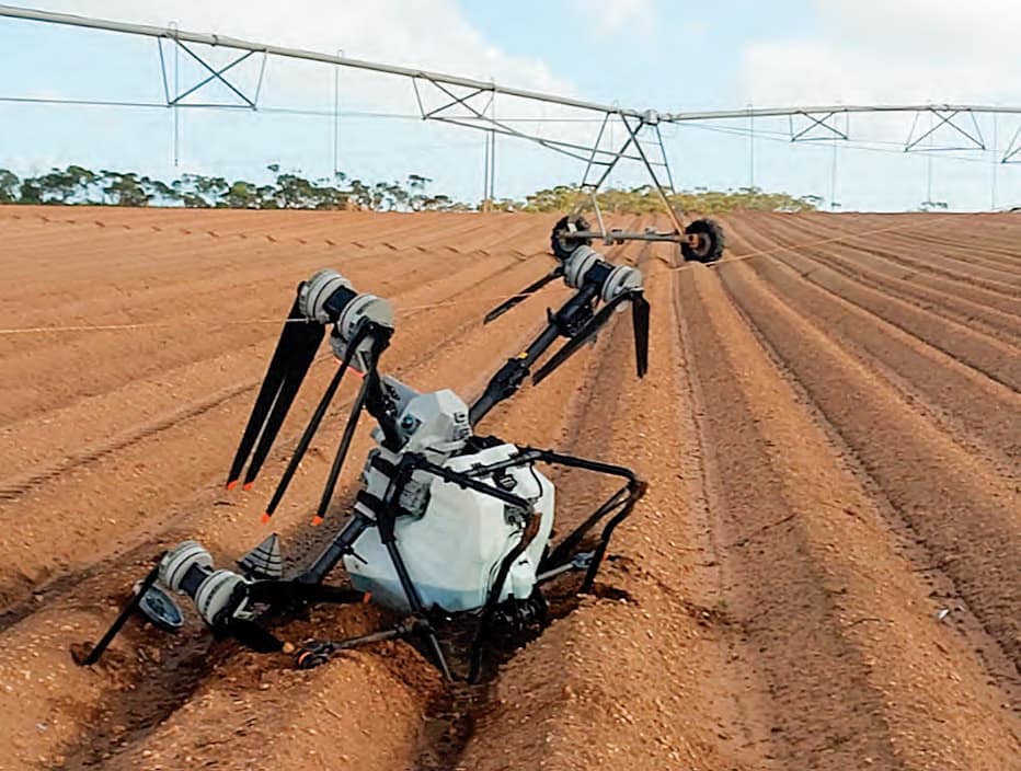 Drone and powerline