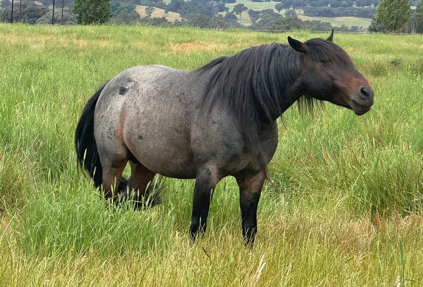 Sebastian at Umbango