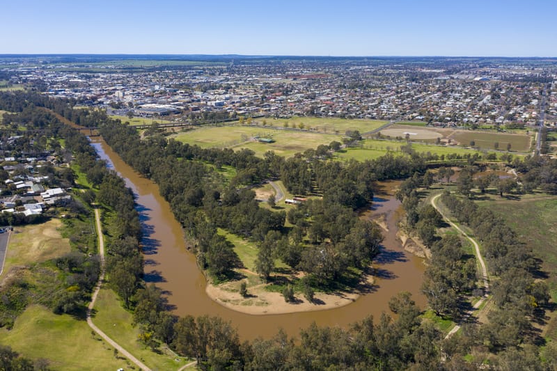 Dubbo