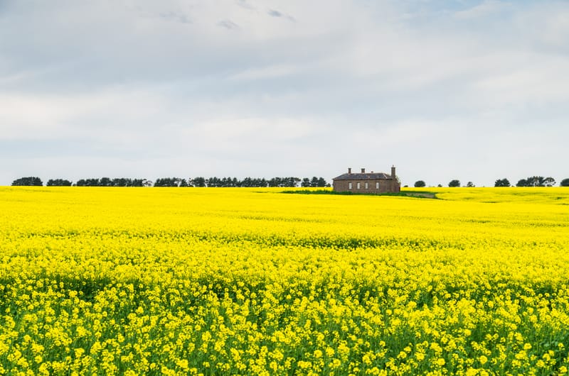Farmers disappointed no commitment on tax thresholds: NFF