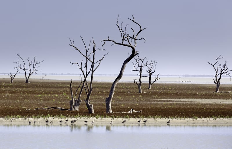 Menindee Lakes