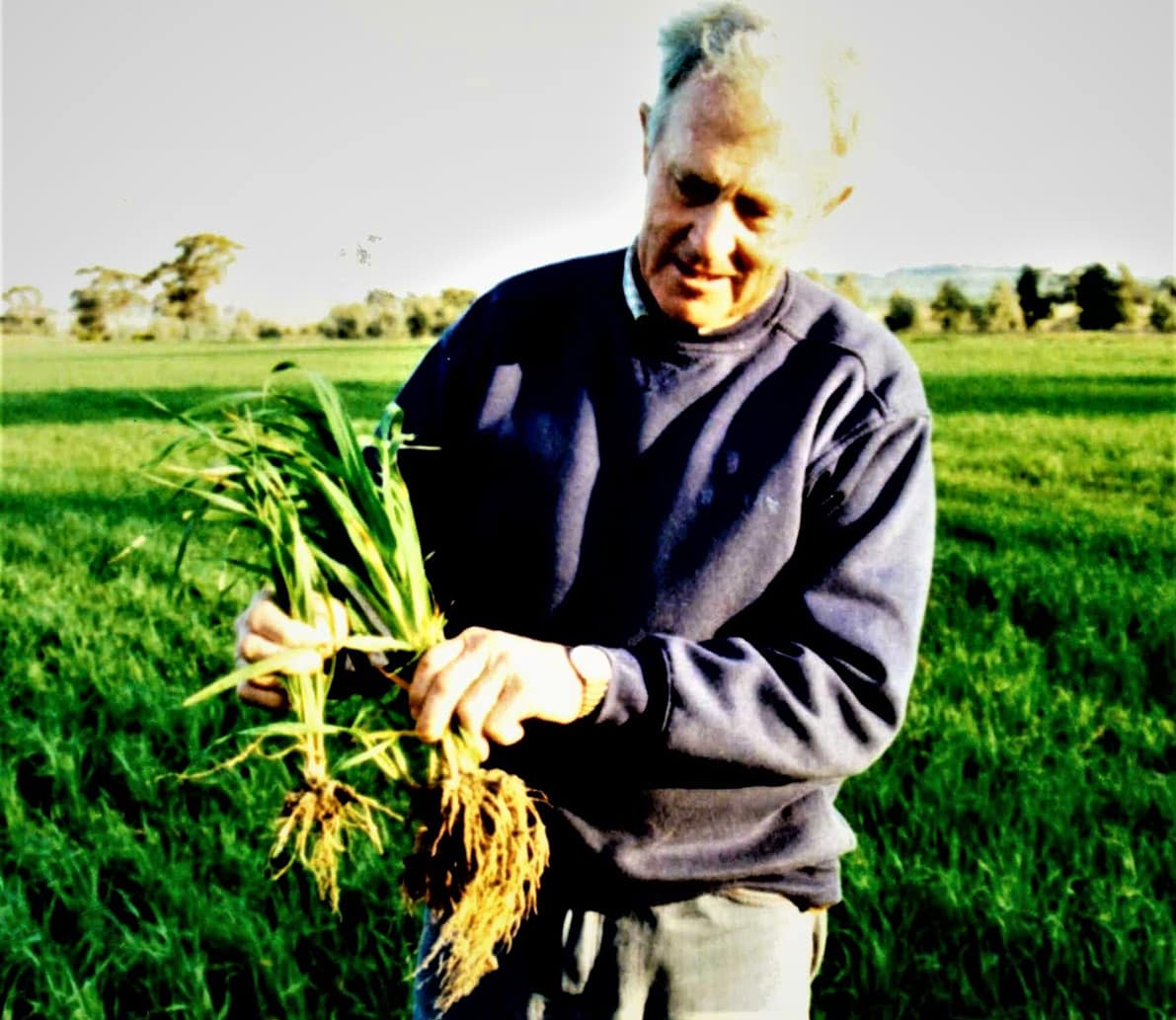 Harvey Morrel with comparative roots