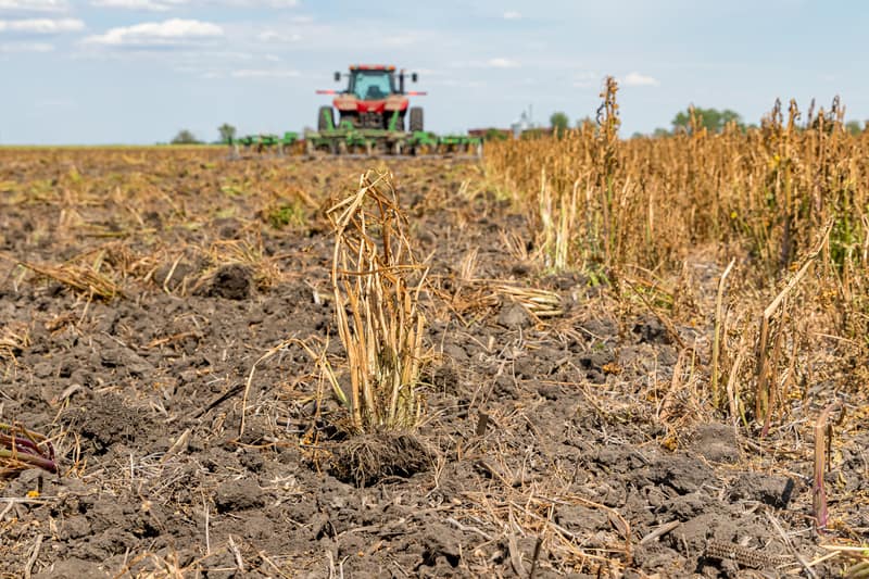 Herbicide spraying