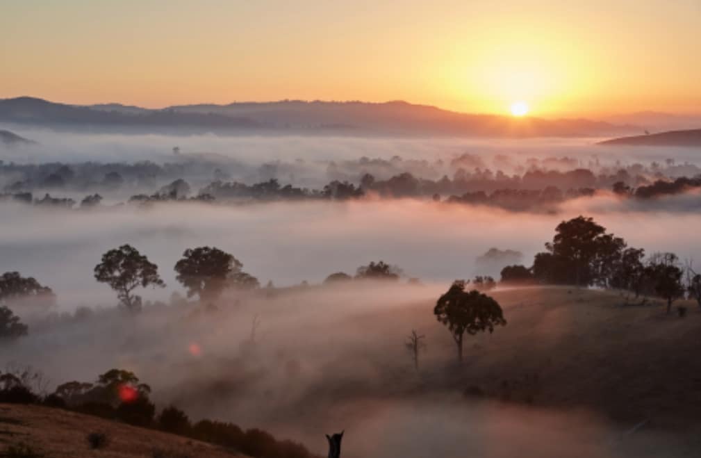 Murrindindi