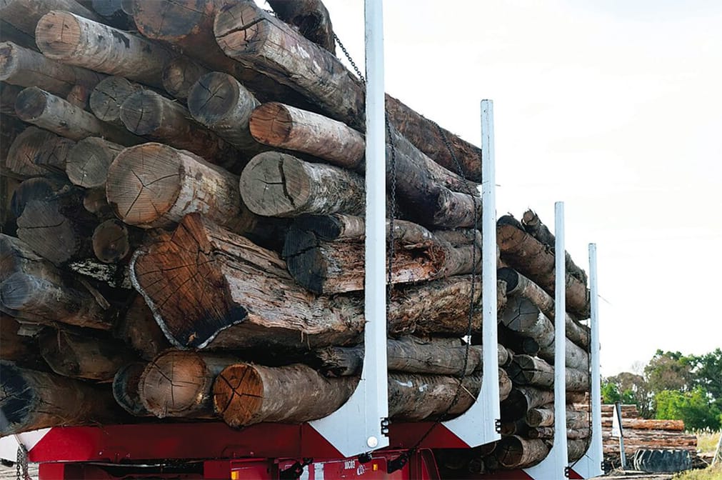 Timber truck