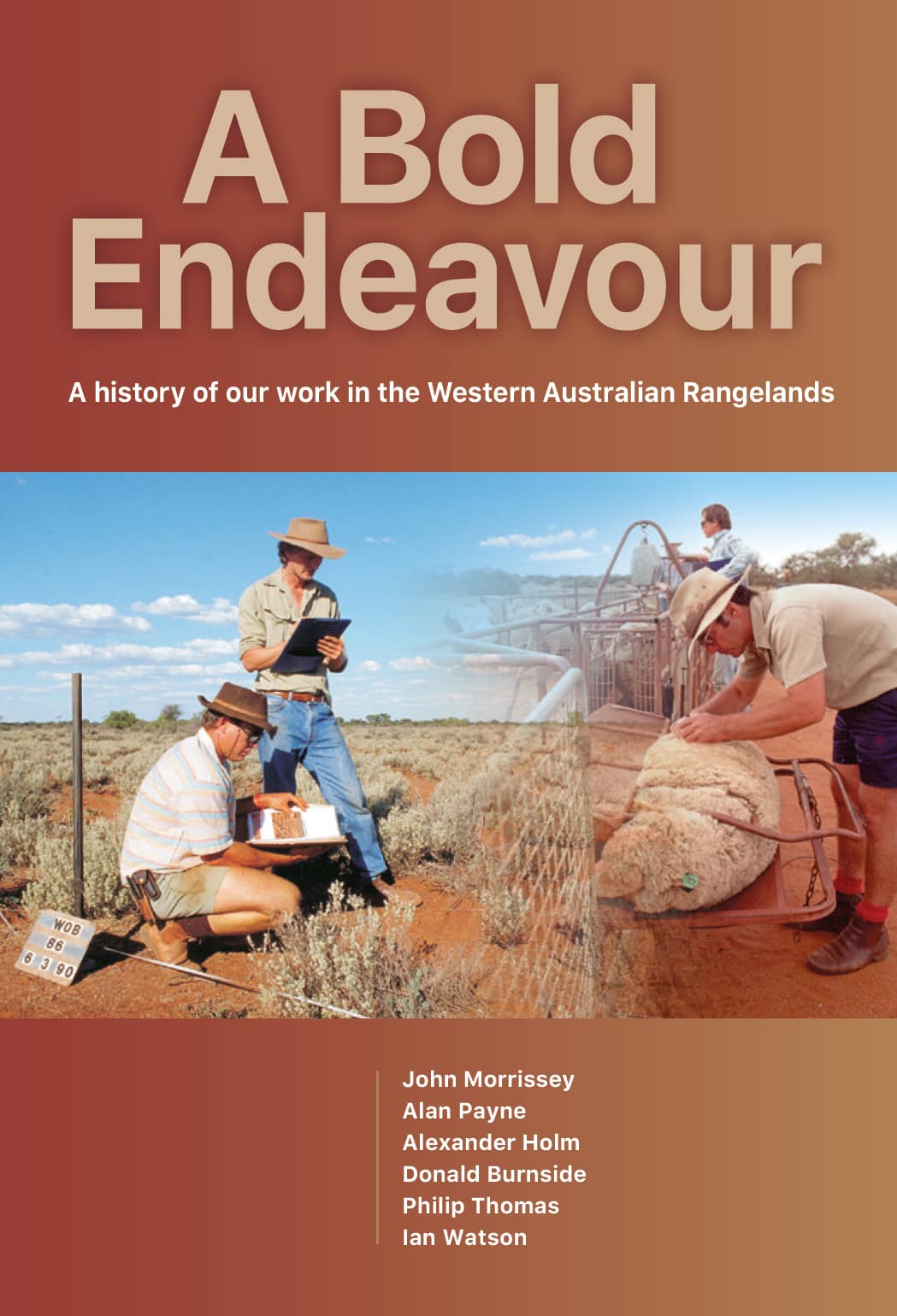 A Bold Endeavour cover
