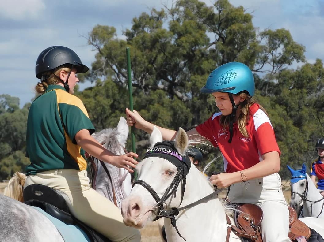 Mounted games