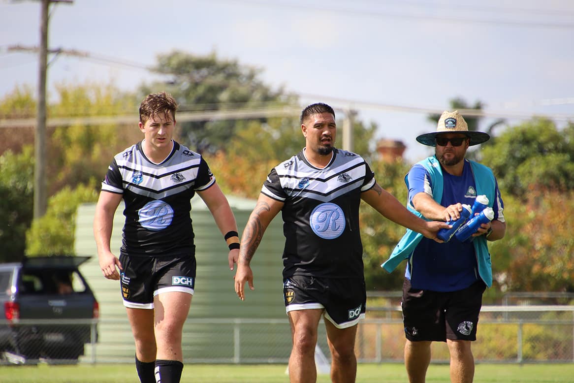 Hay Magpies