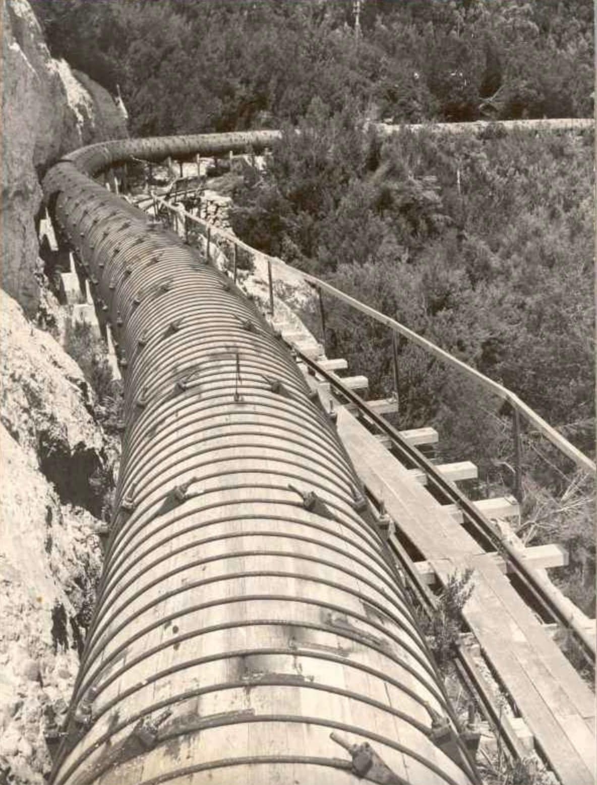 Wooden King Billy pine pipeline