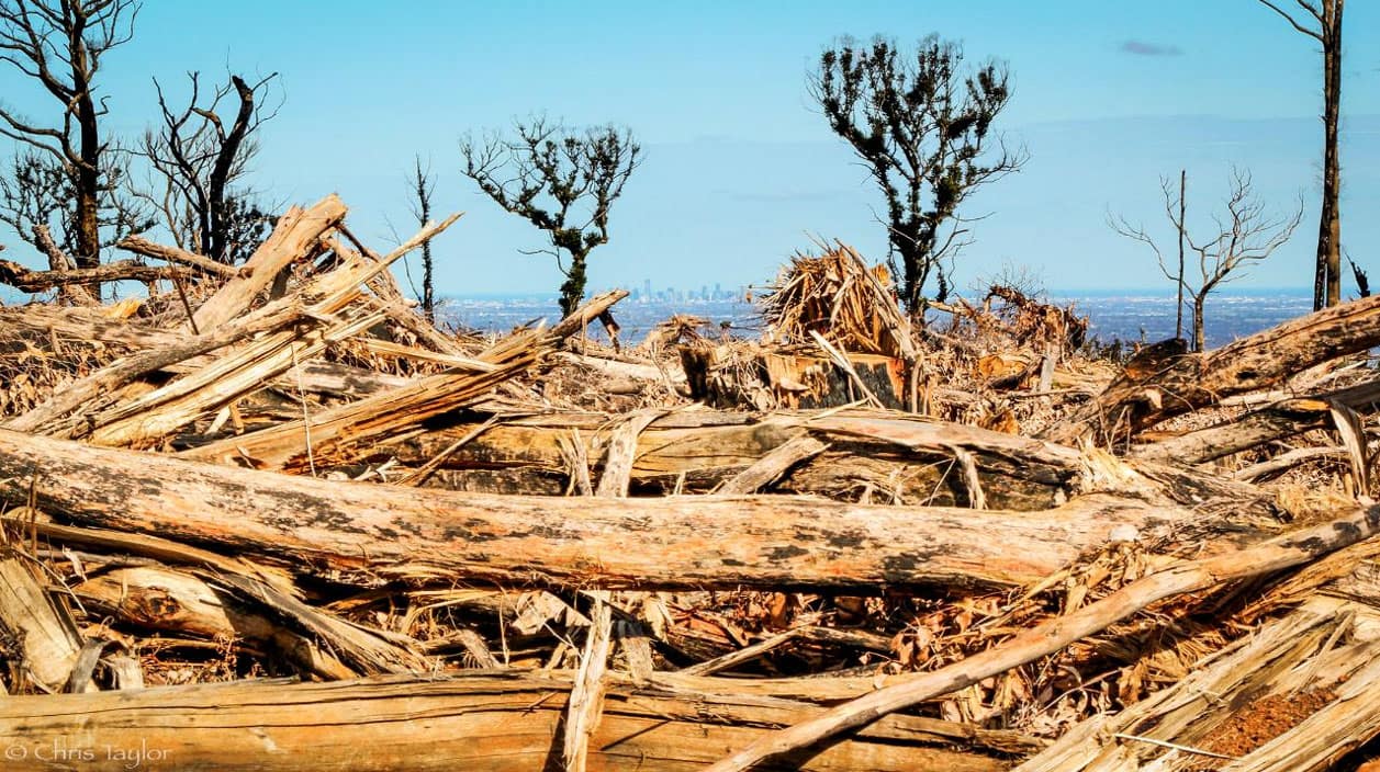 Logging debris