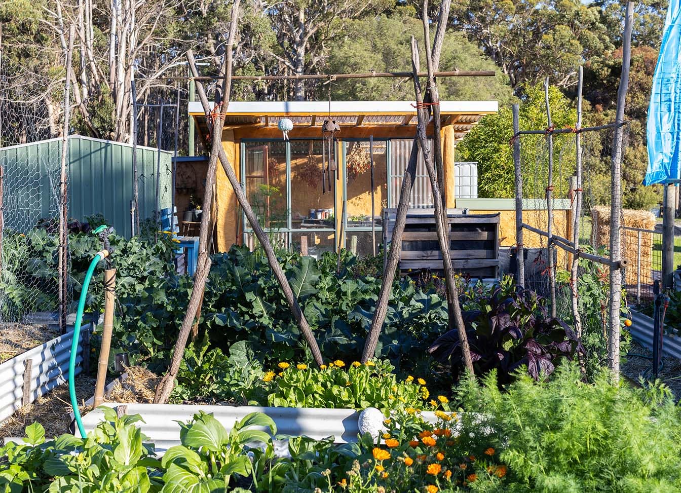 Artha Holmes garden