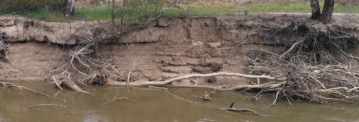 Erosion at Barham