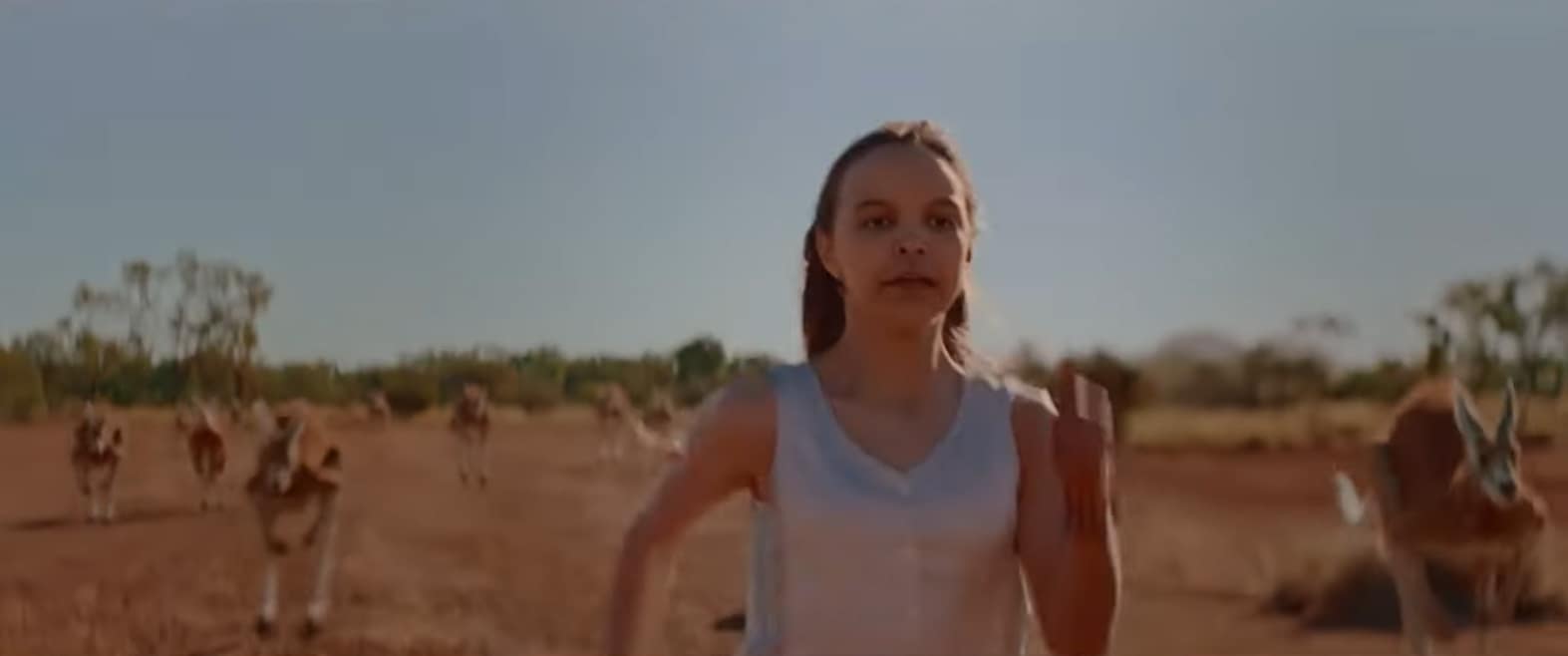 Kangaroo trailer