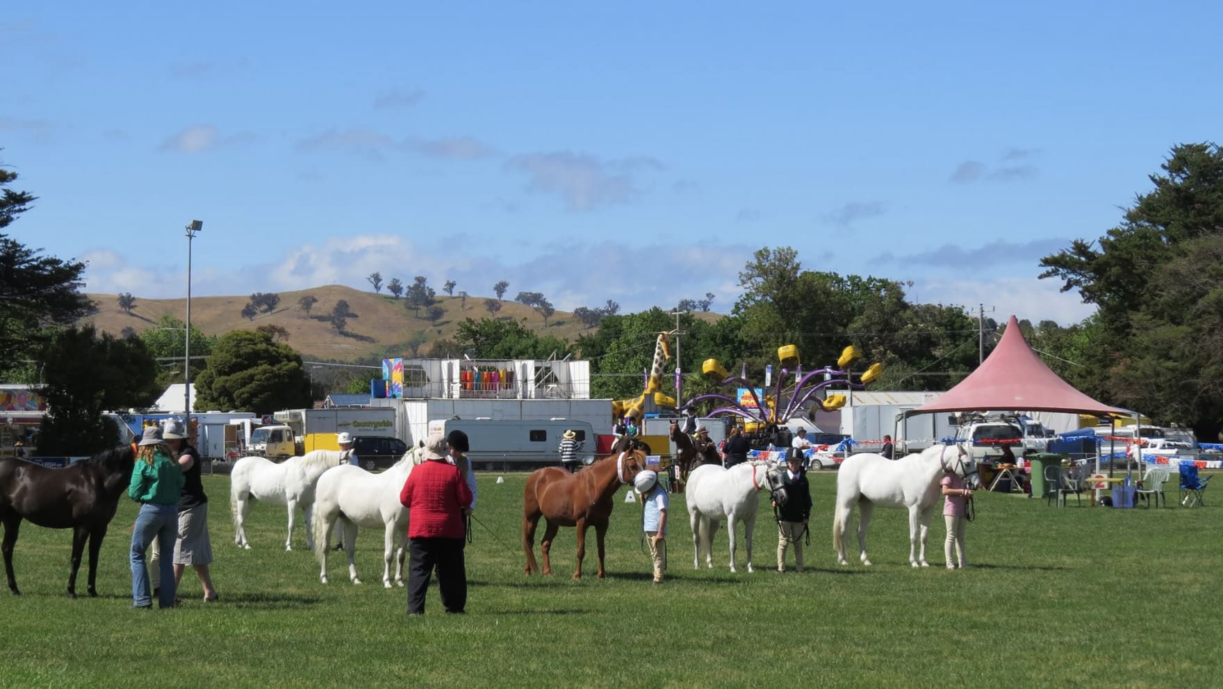 Alexandra Show