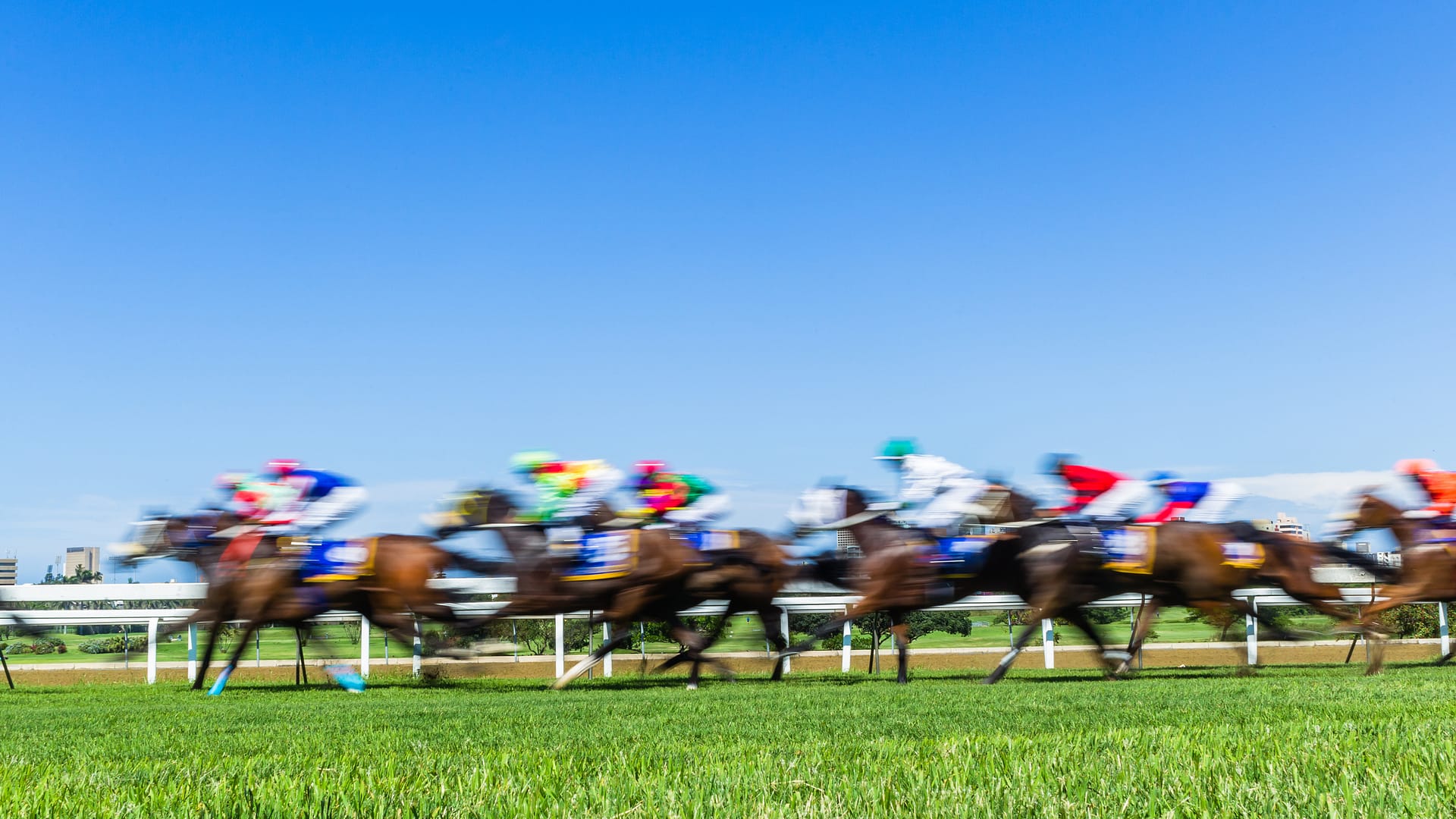 Horse racing
