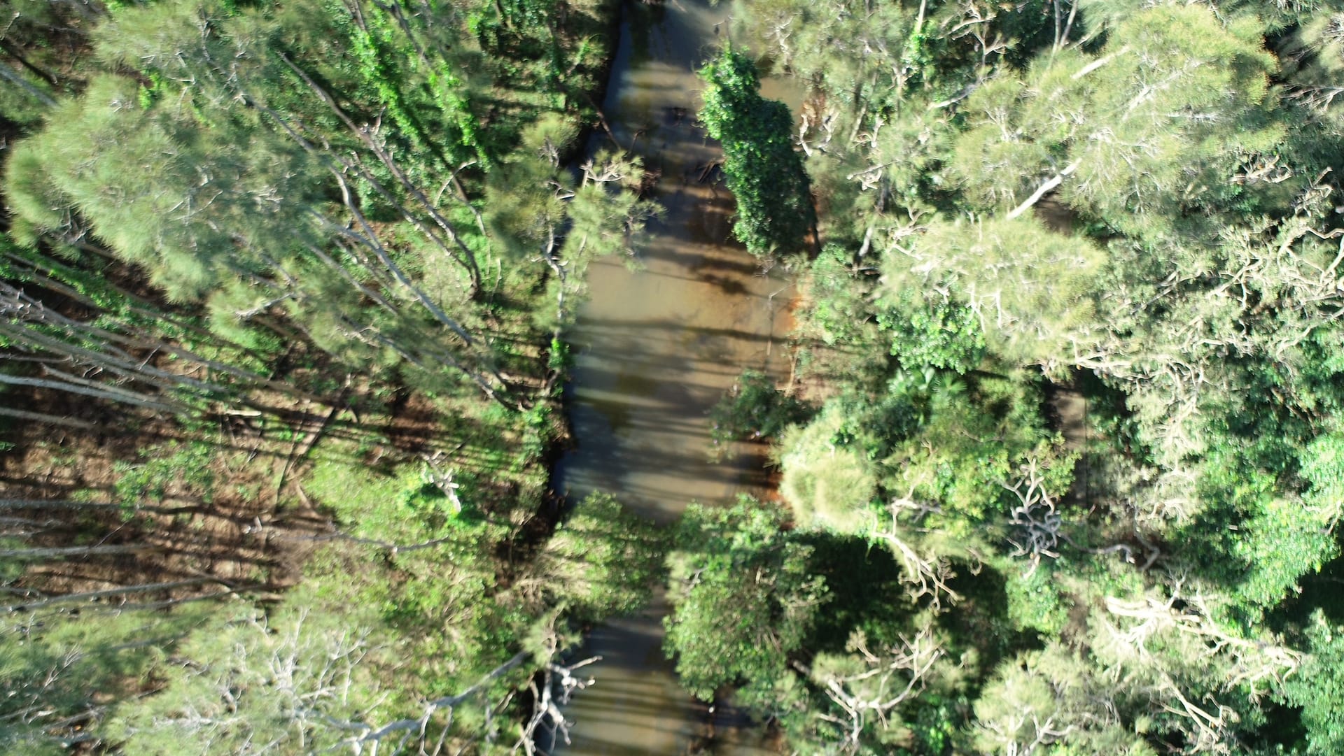 View from drone