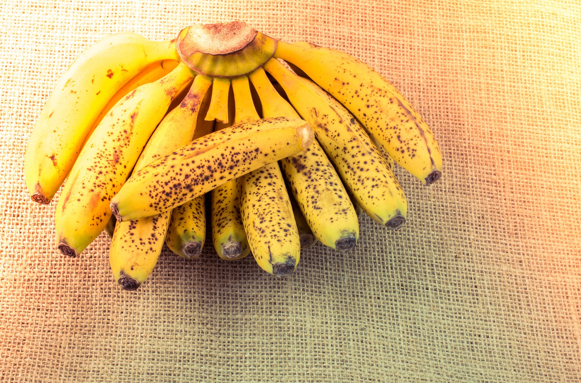 Banana060622