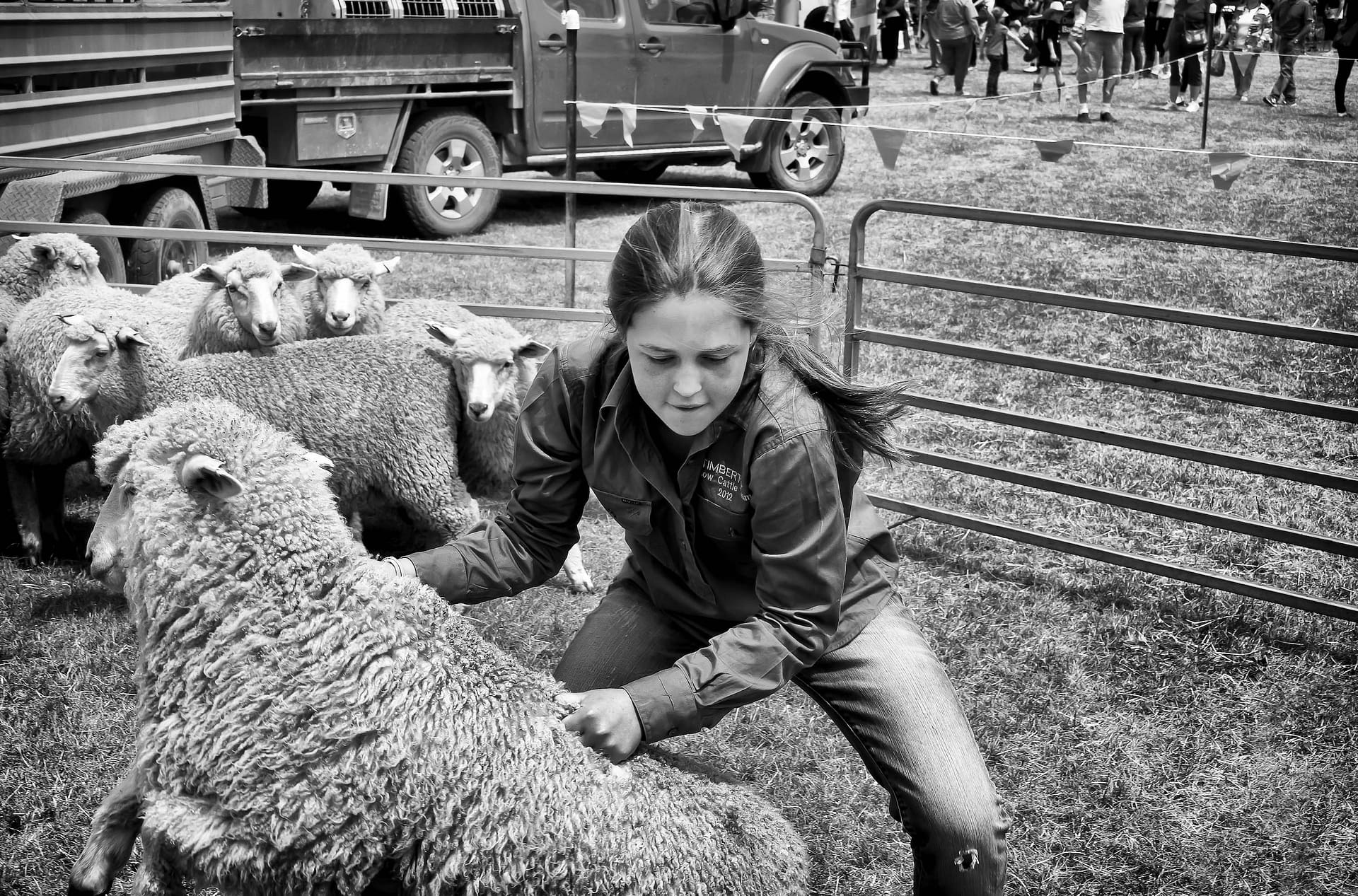 Emily wins over Woolly