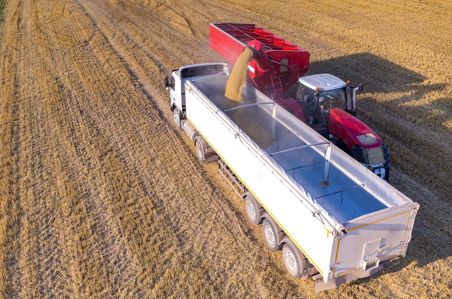 Filling truck with wheat