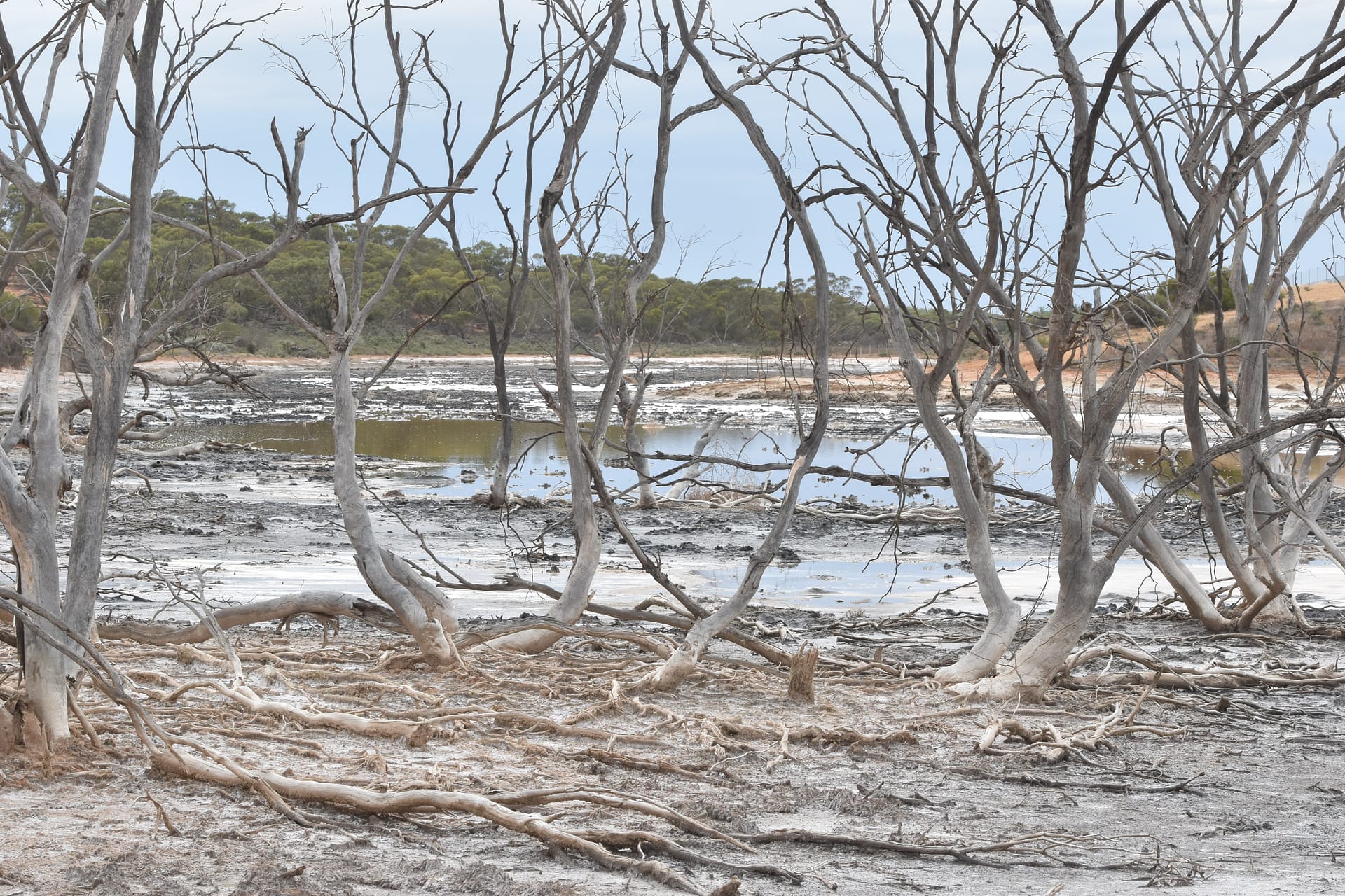 Salinity