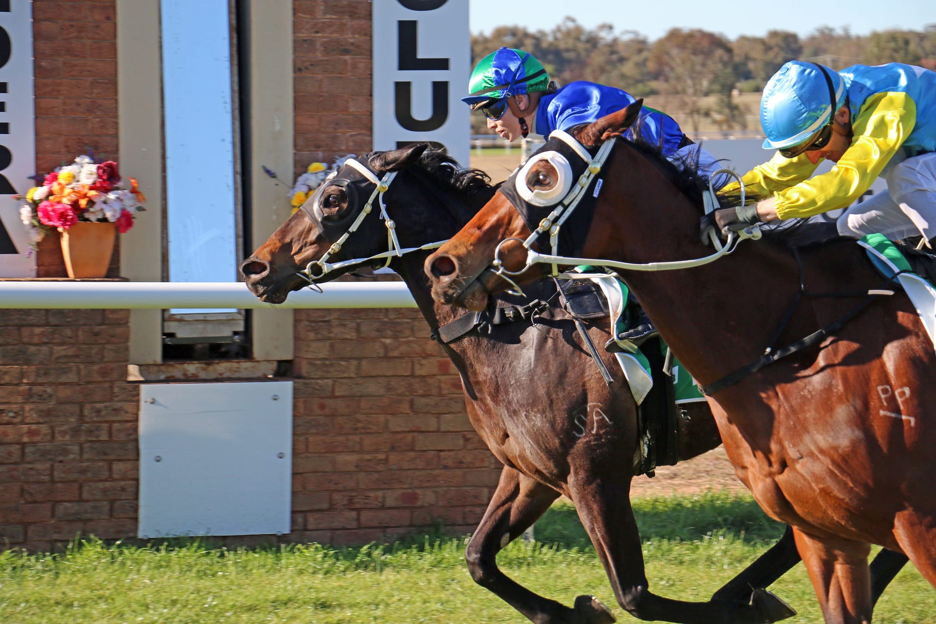 Narrandera racing