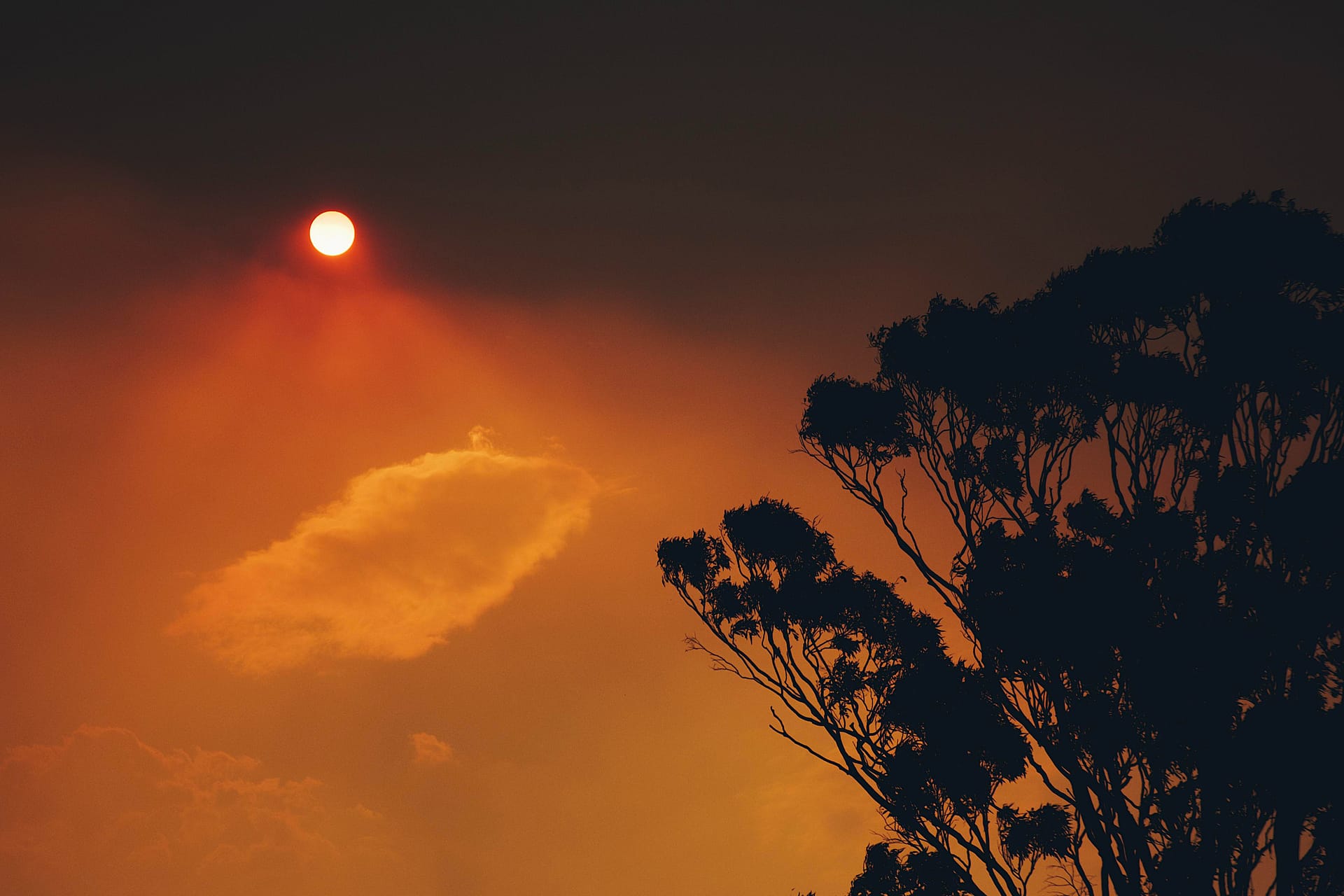 bushfire sky