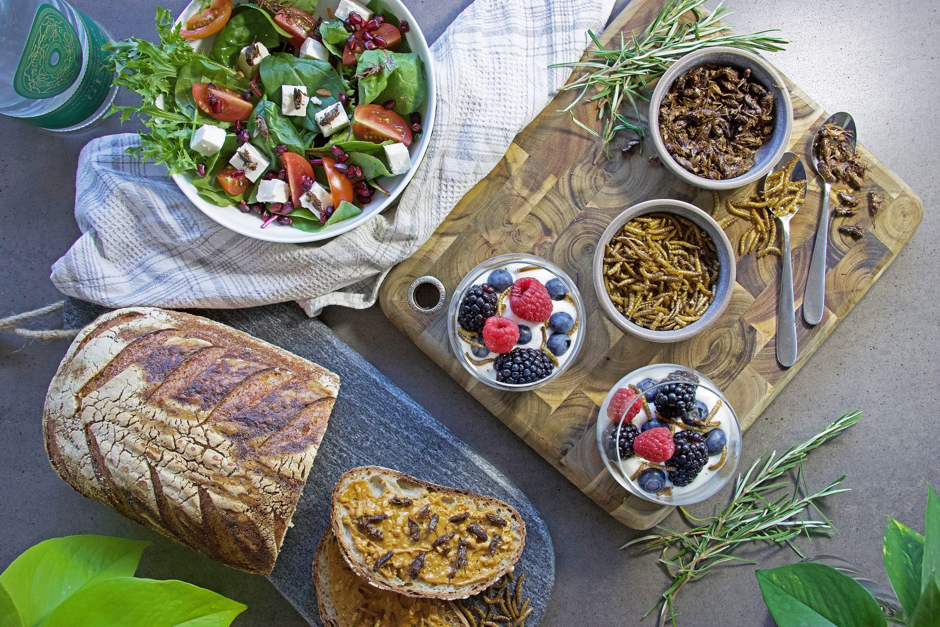 Modern breakfast with ants
