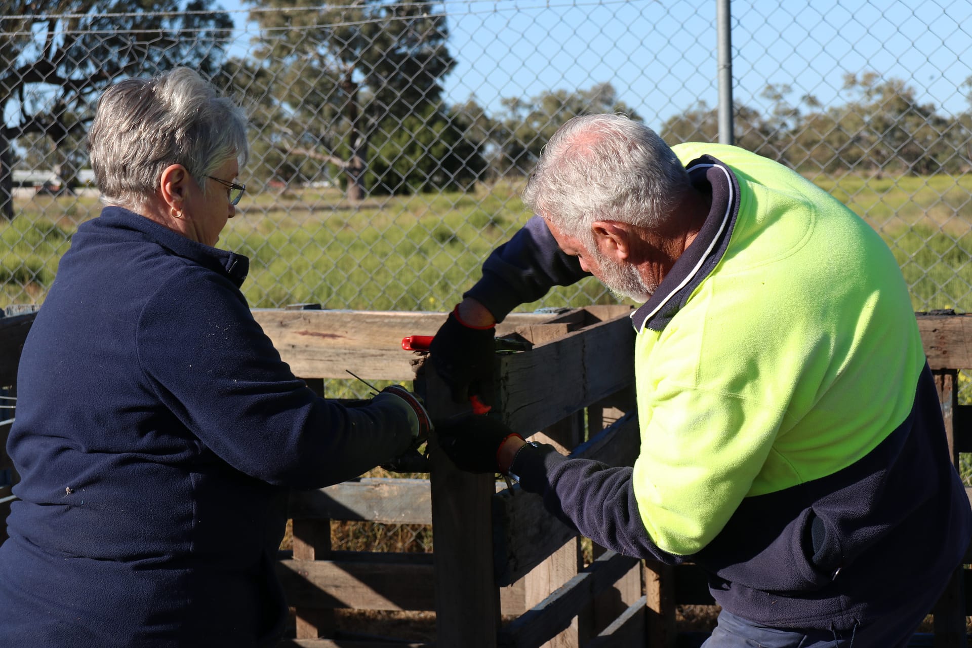 Walgett community gardens