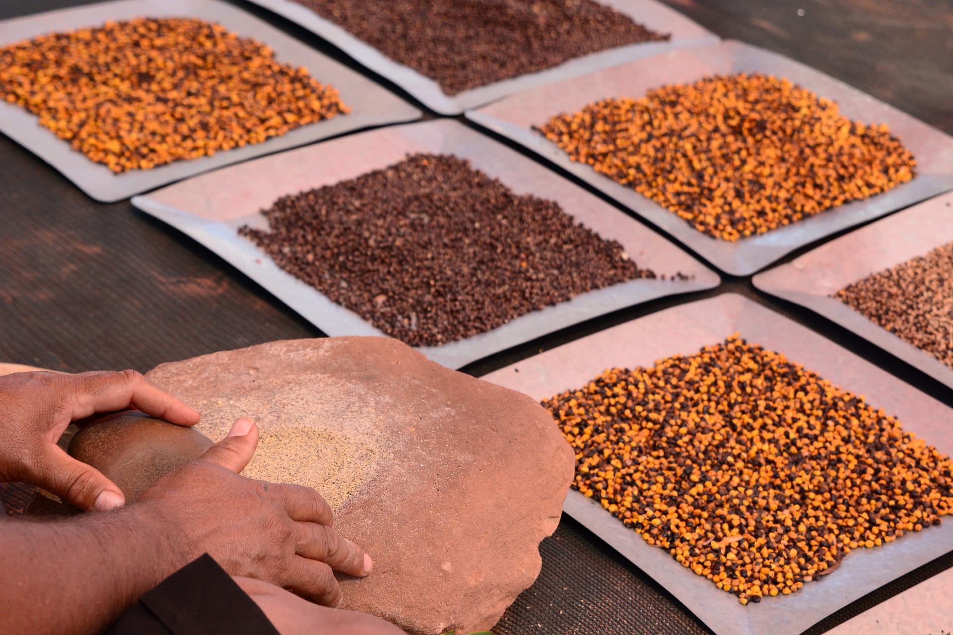 Bush tucker seeds Photo: Luca Roggero