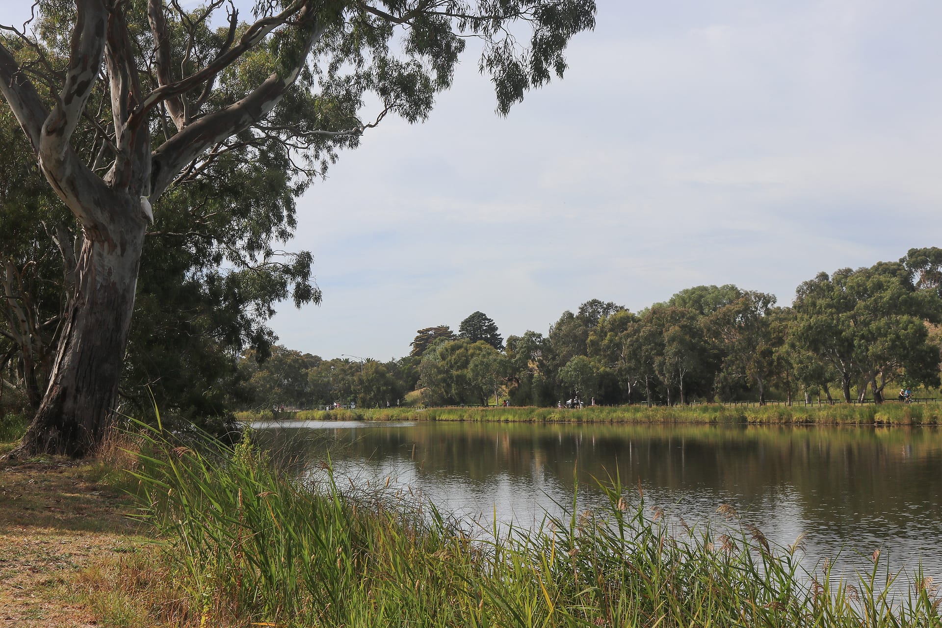 Barwon River