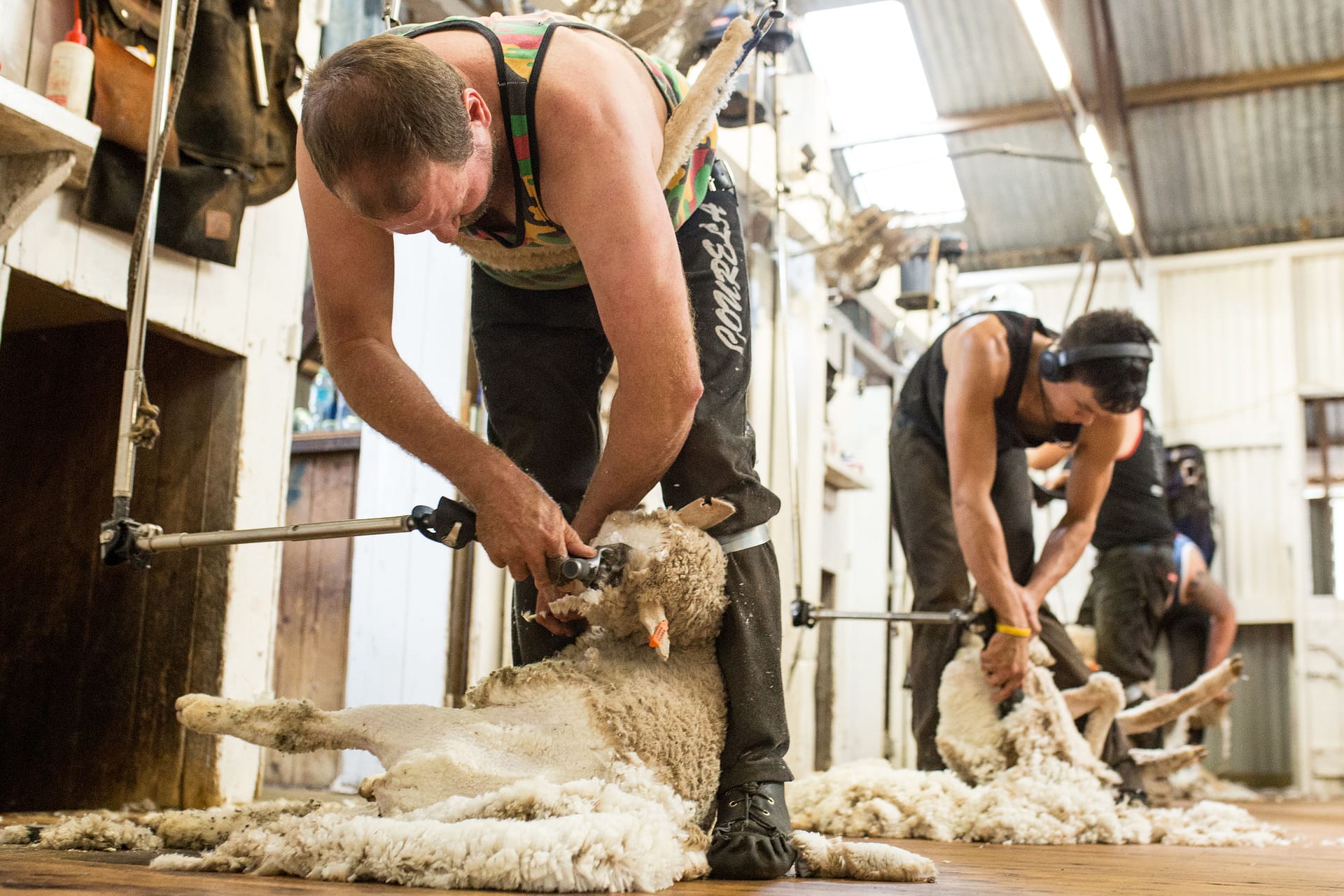 Shearers