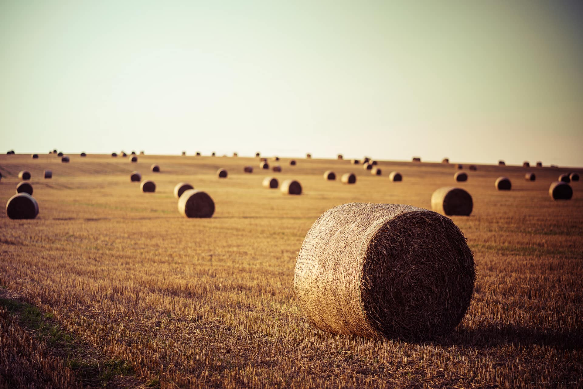 Hay bales