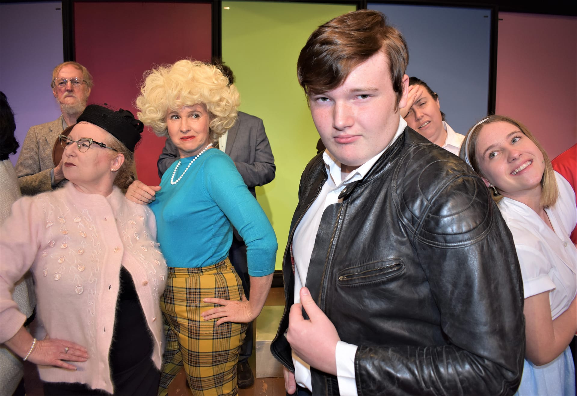 Bye Bye Birdie cast