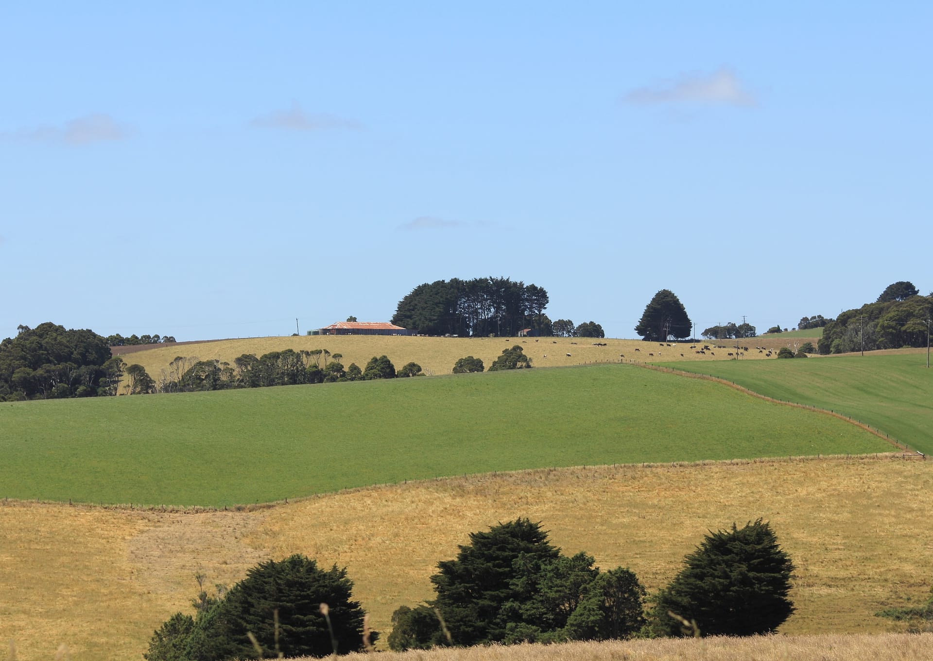 Australian farm