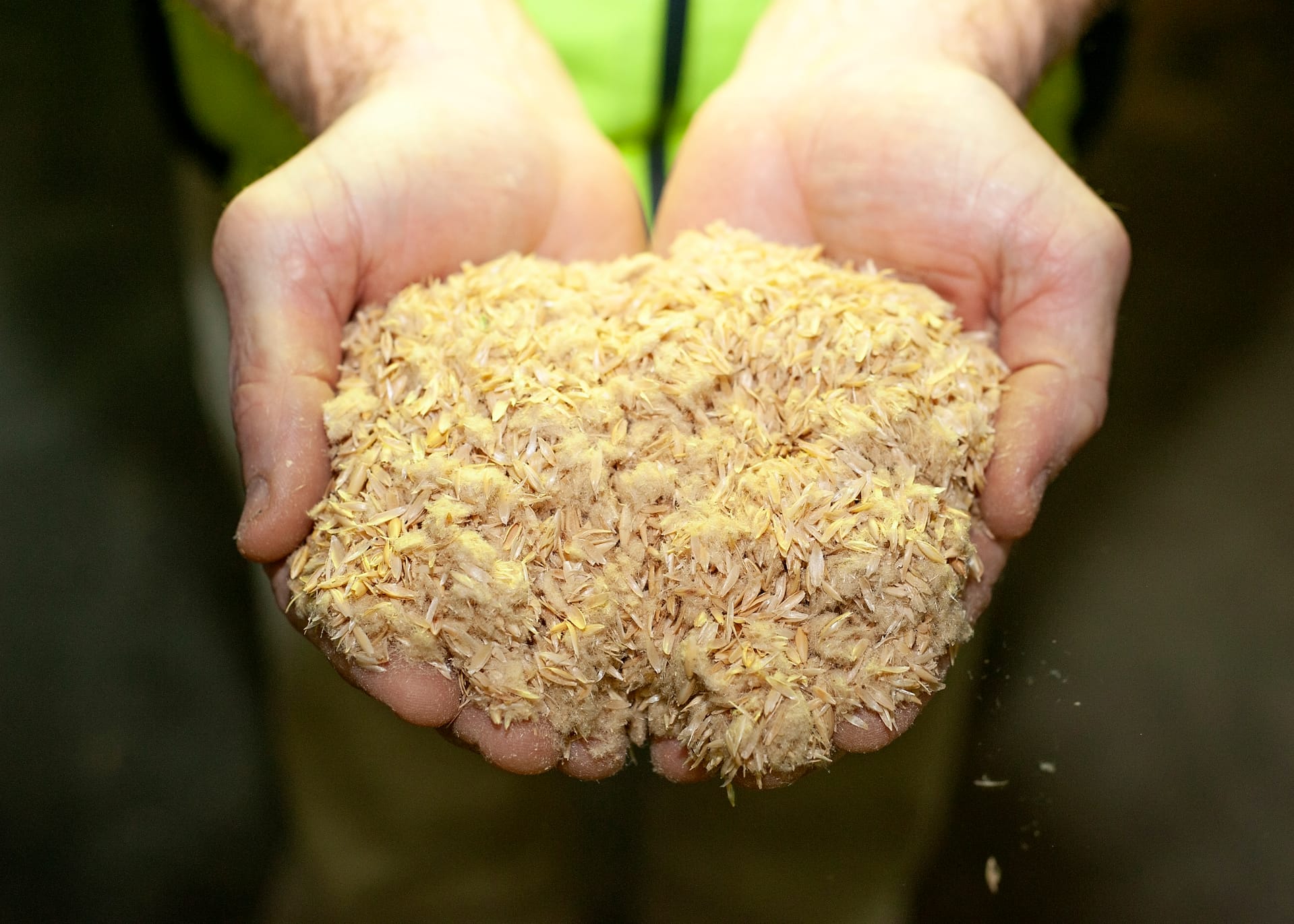 Oat husks