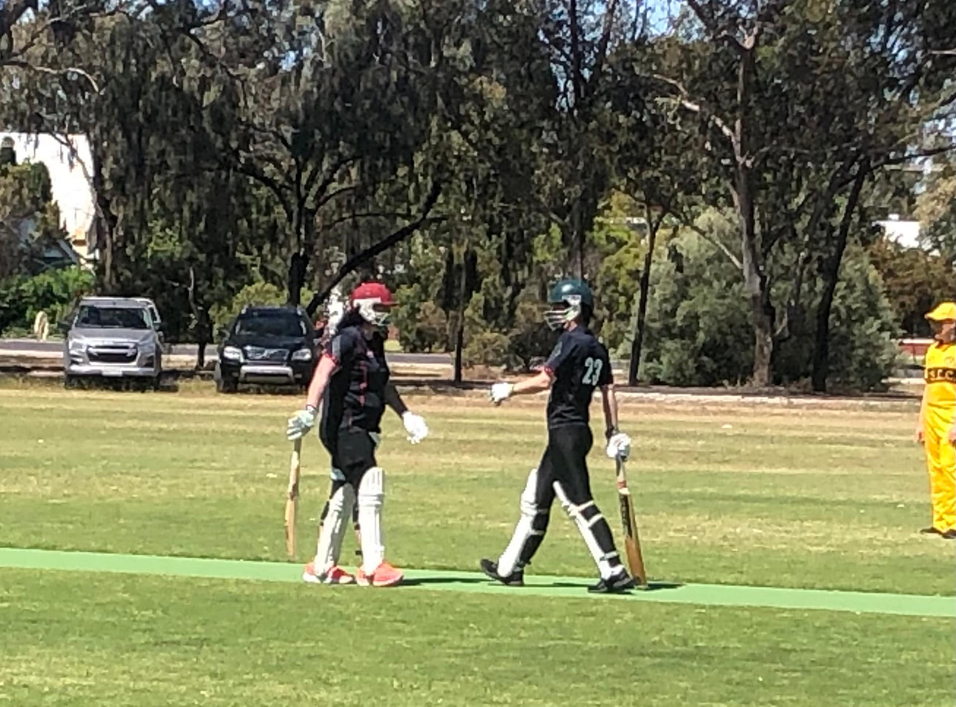 Womens cricket
