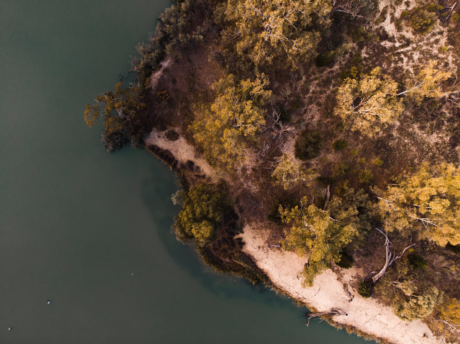 Murray River at Renmark
