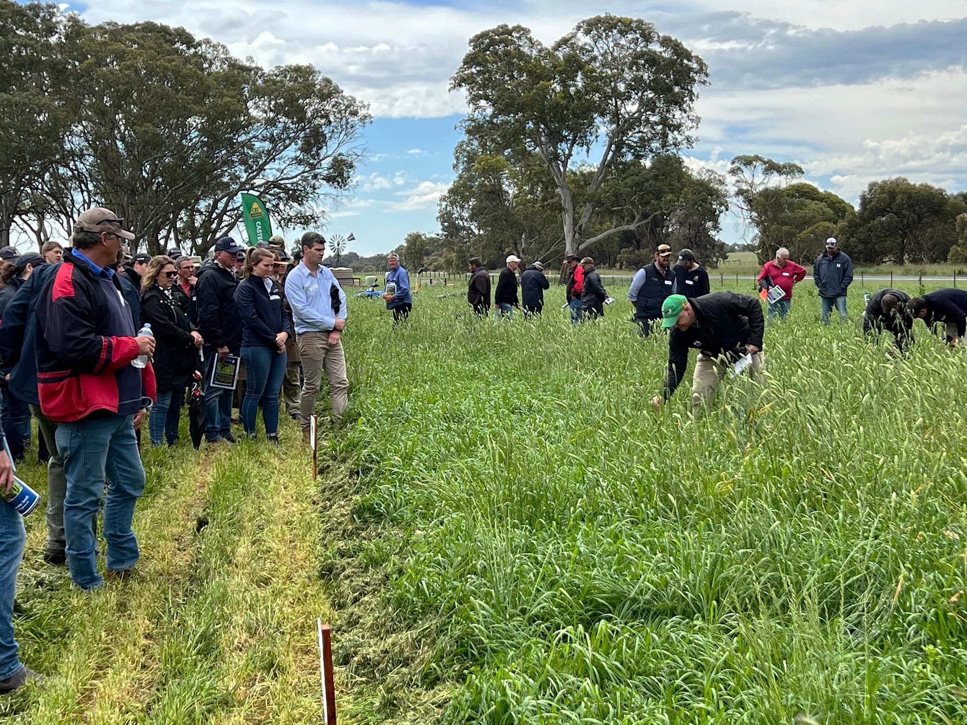 Seeds Field Day