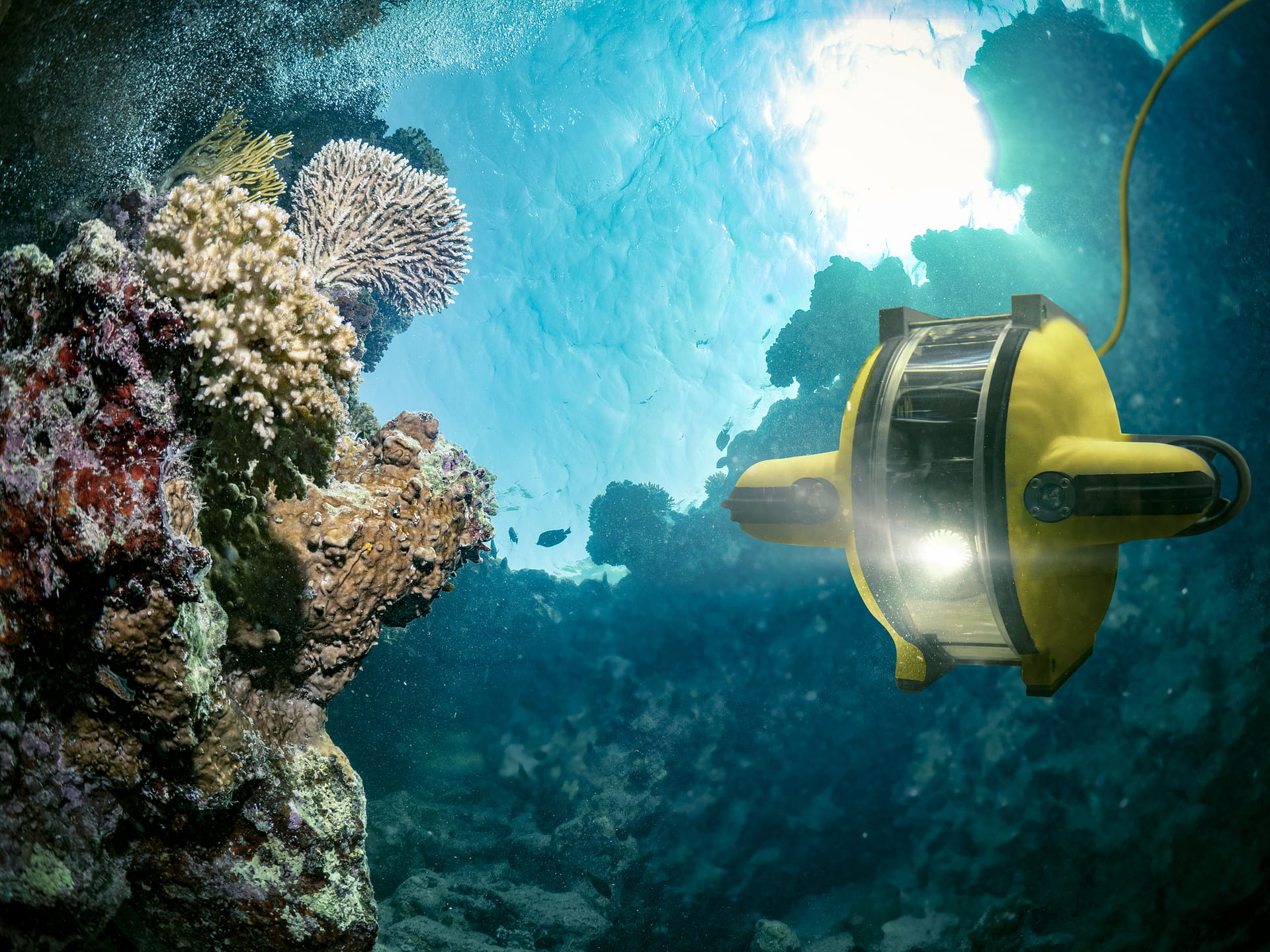 Underwater robot