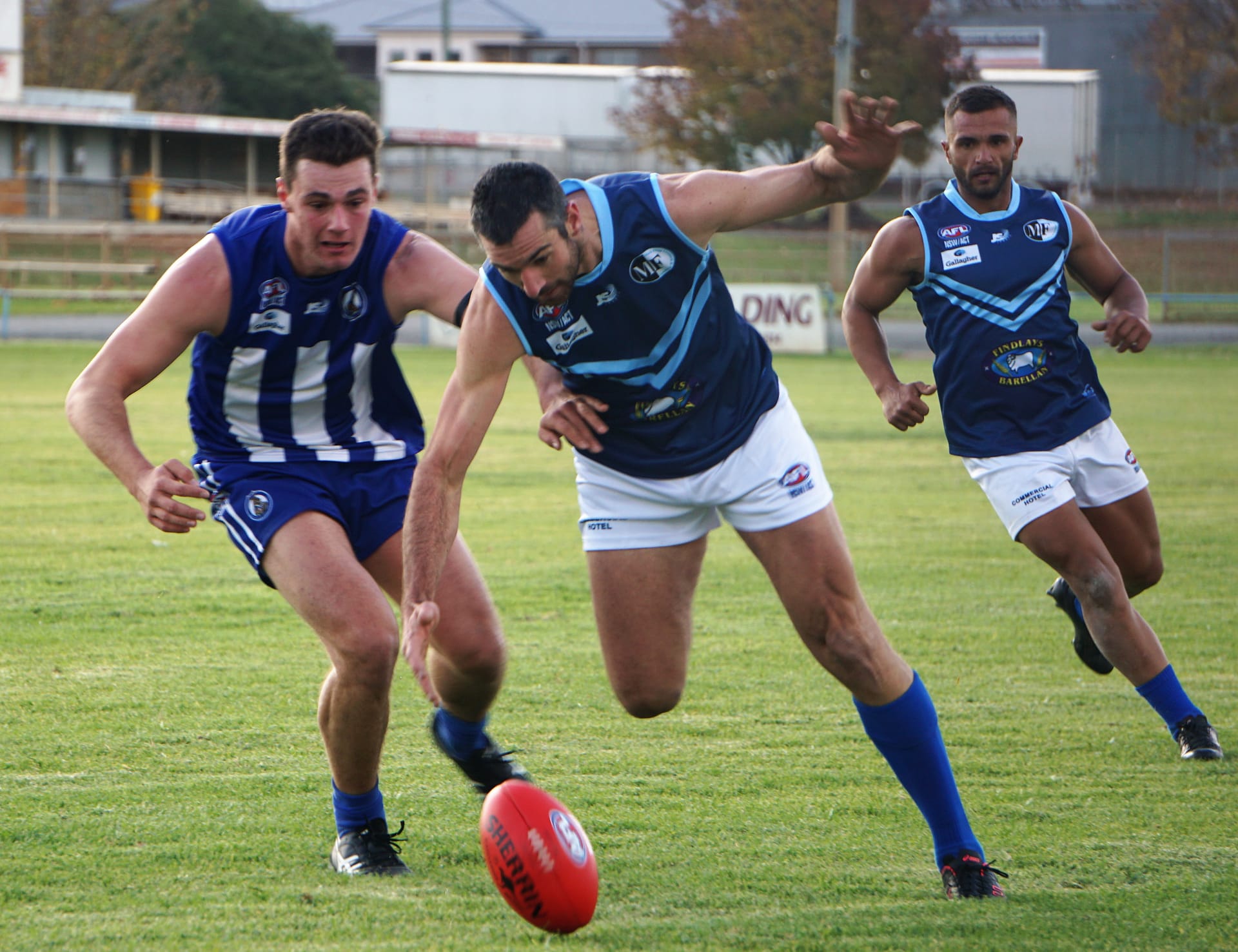 Barellan Blues