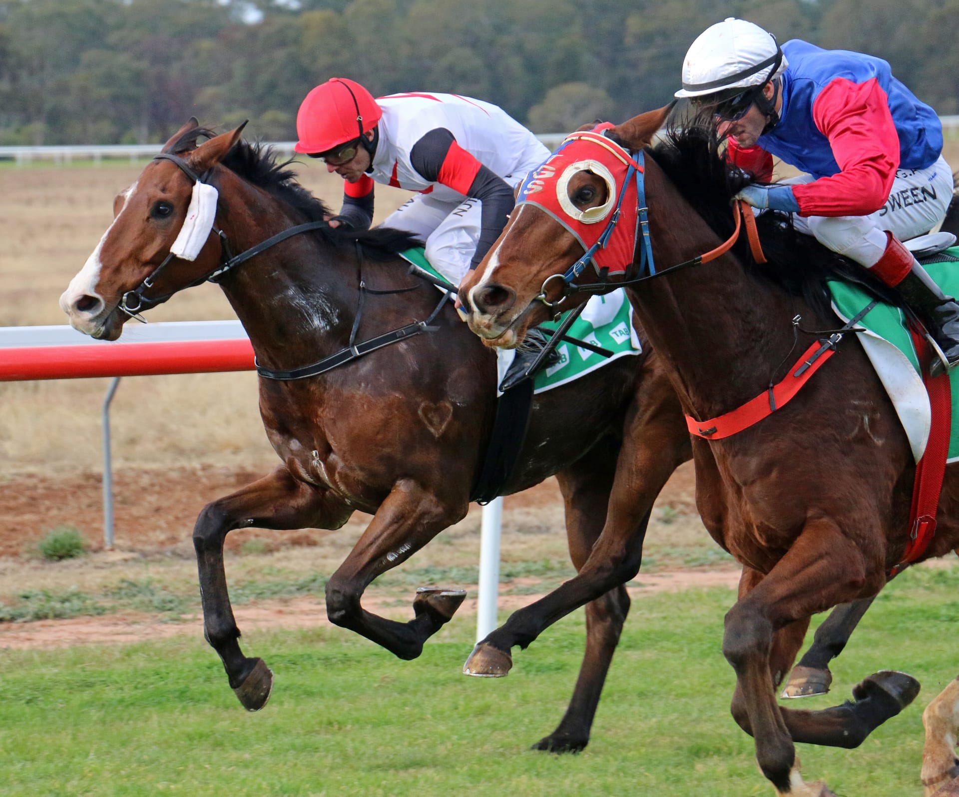Narrandera Races