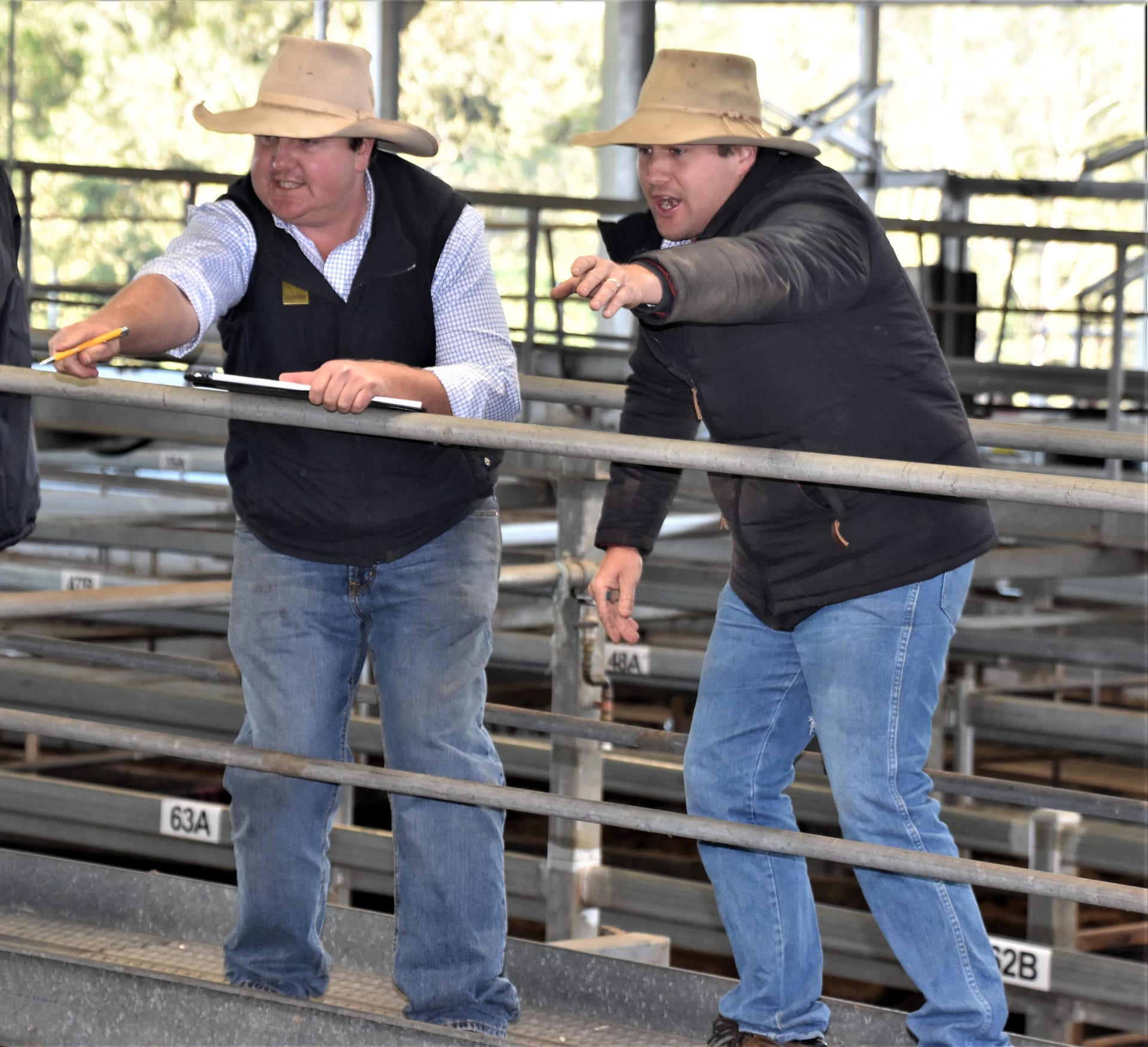 Sale yards