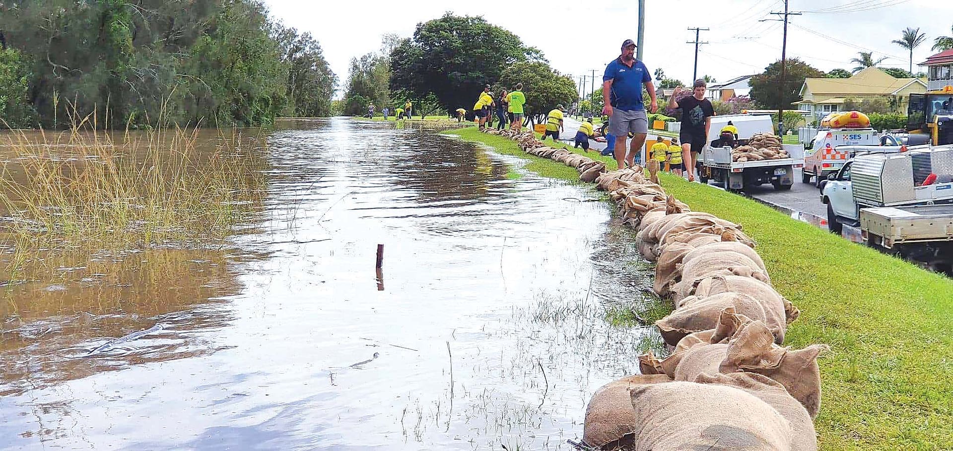 Maclean levy sandbagged