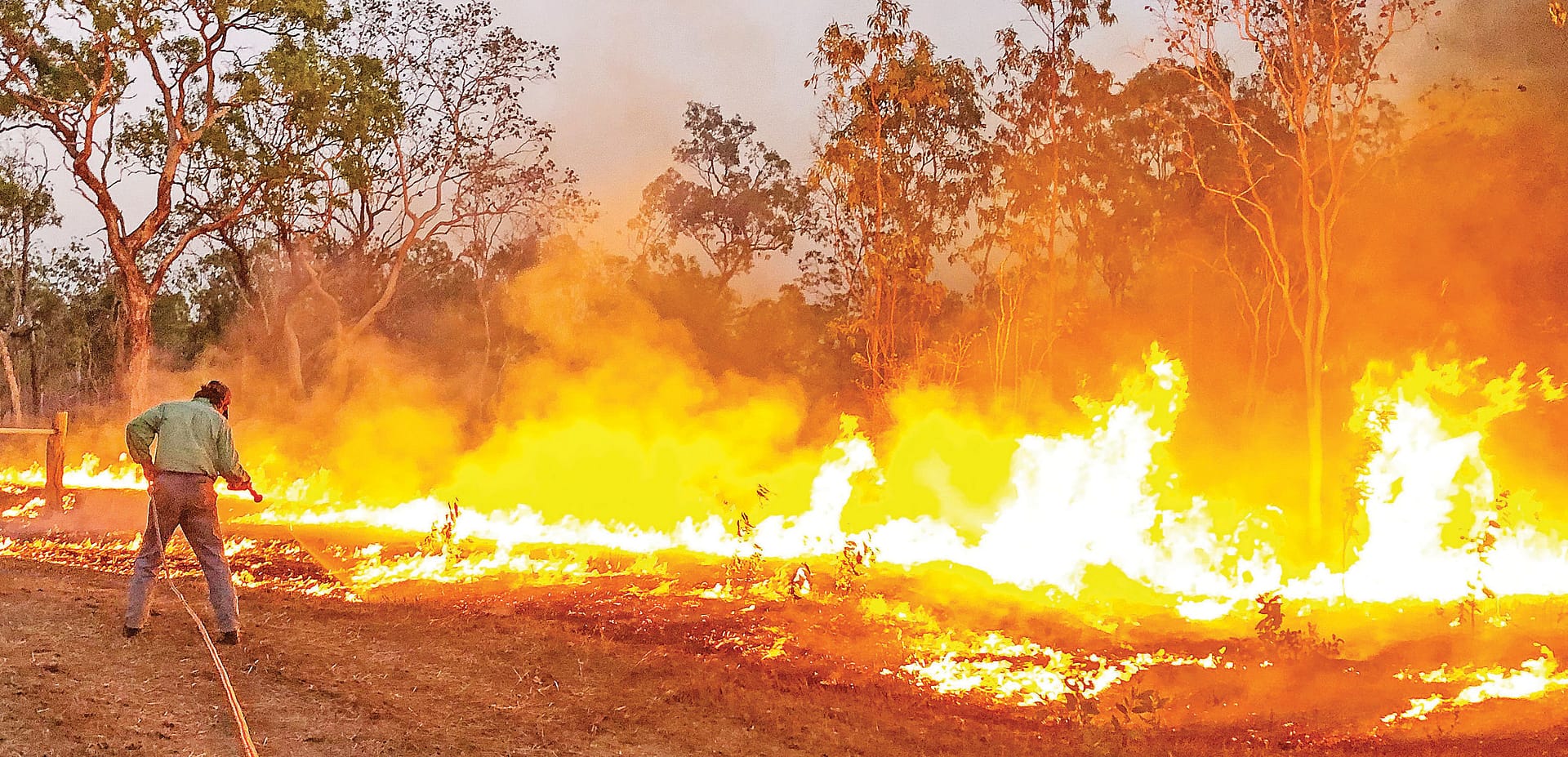 Piccaninny Plains backburning