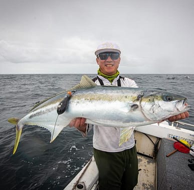Kingfish