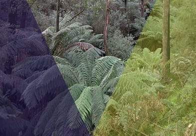 Interim Protection report cover part