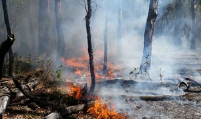 Copy-of-Front-page-_-Media-Release-Victorian-Fires-Draft-400x238