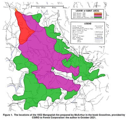 Mangoplah fire map