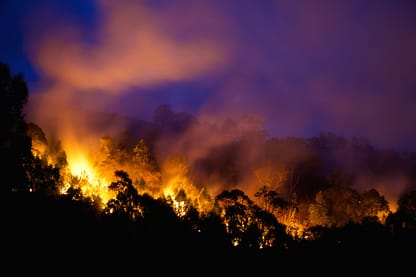 Bushfire